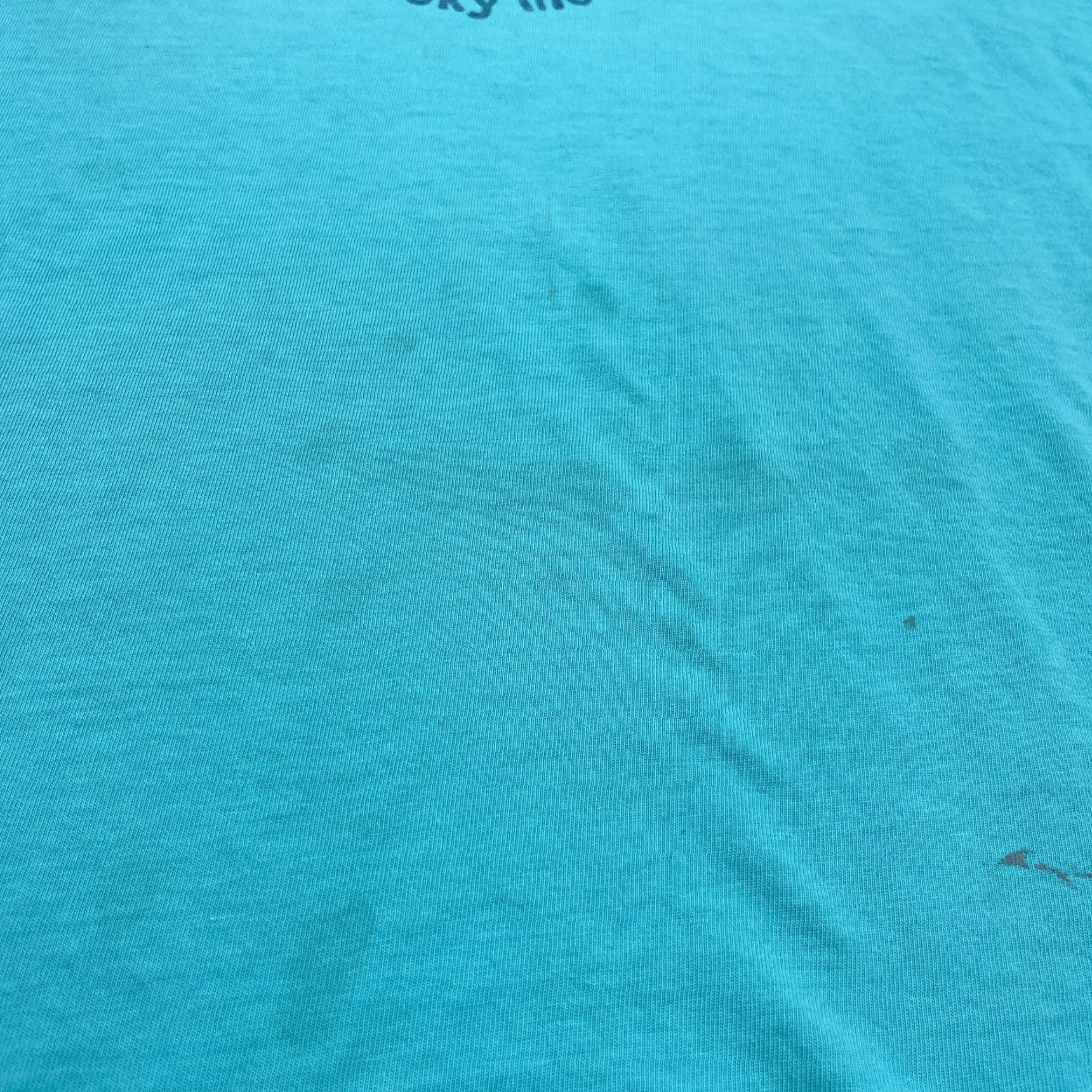 Life is Good Life is Good Shirt Women L Blue Crusher Tee Hiking Ladies Top STAINS* Size L / US 10 / IT 46 - 4 Thumbnail