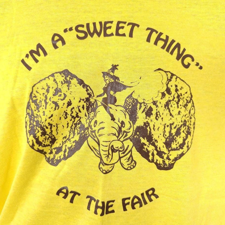 Vintage Vintage Earwitch Elephant Ears T Shirt Mens Size Medium Size US M / EU 48-50 / 2 - 2 Thumbnail