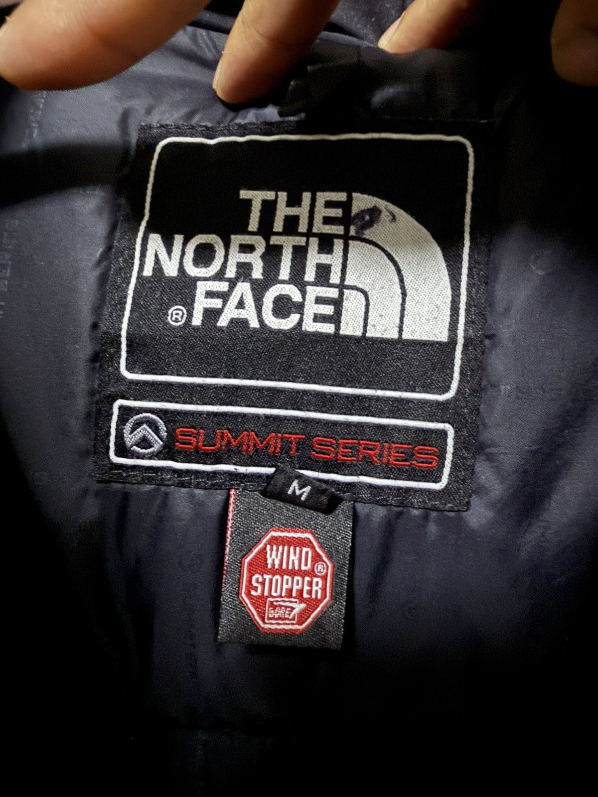 The North Face The North Face "Summit Series" puffer jacket 700 Size US M / EU 48-50 / 2 - 7 Thumbnail