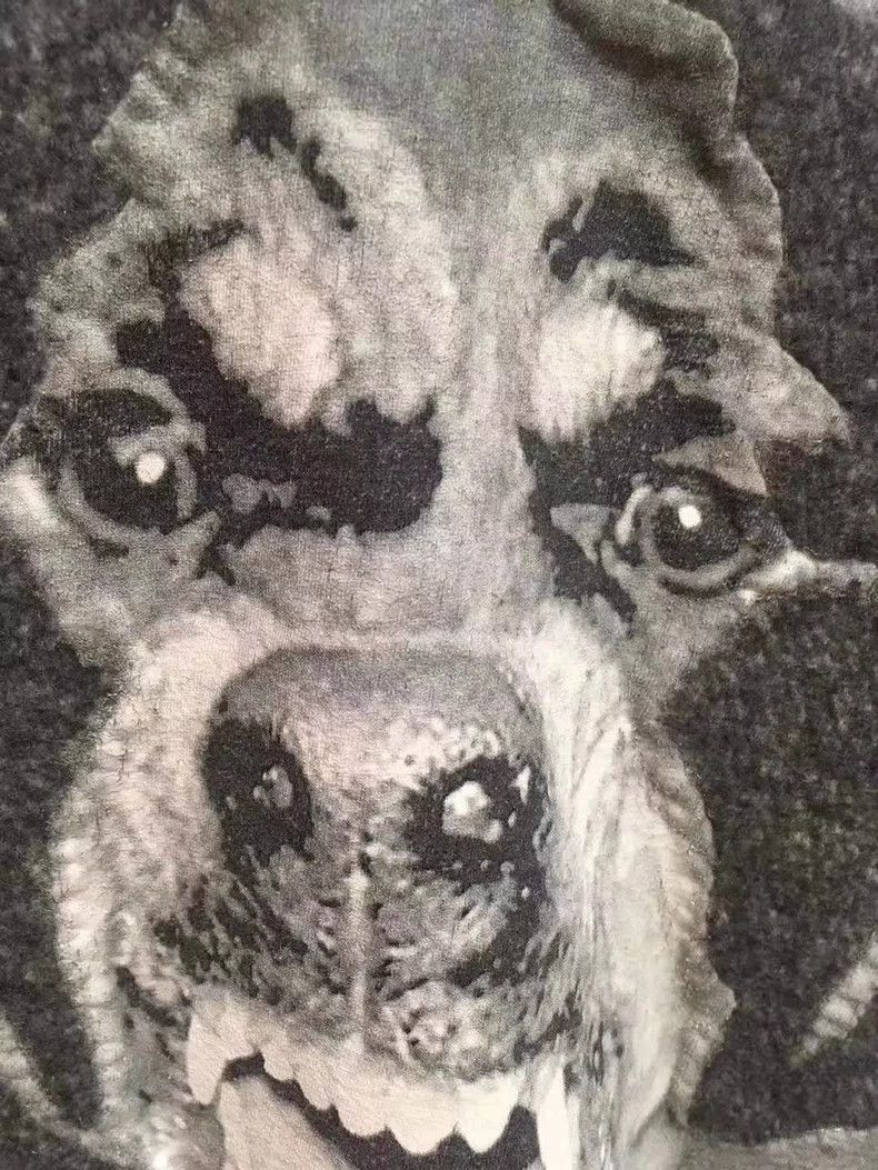 Givenchy Givenchy Dog Head Short Sleeve 2506-Nextarrow Size US M / EU 48-50 / 2 - 2 Thumbnail