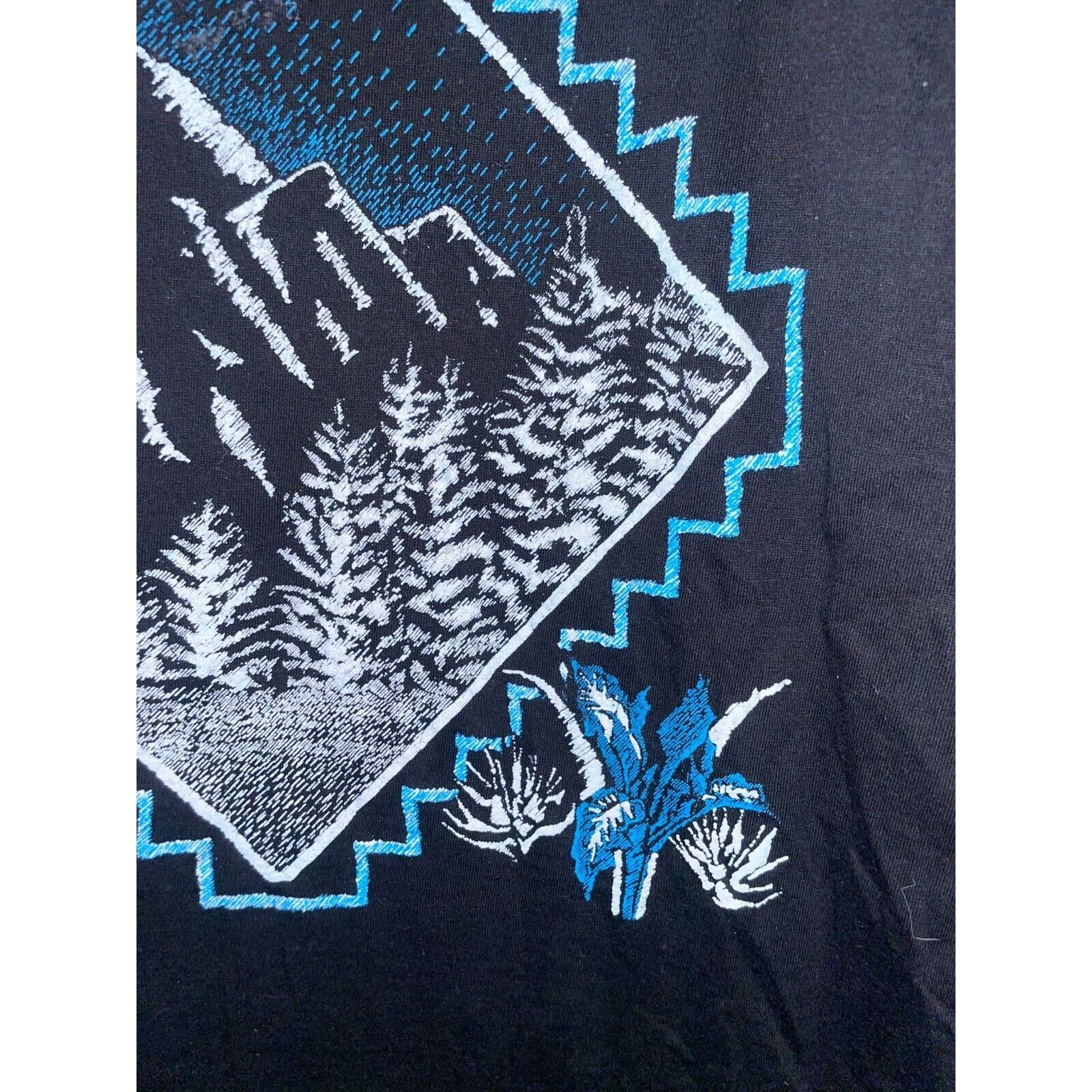 Jerzees Vintage Test Print Shirt Padre Island Mountain Black M Tee Size US M / EU 48-50 / 2 - 3 Thumbnail