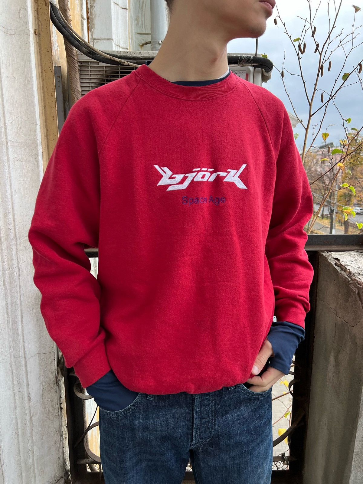 Bjork Hoodie | Grailed