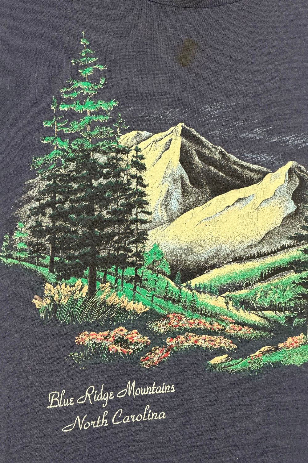 Vintage 90s Blue Ridge Mountains Scenic Tee (Single Stitch) Size US M / EU 48-50 / 2 - 5 Thumbnail