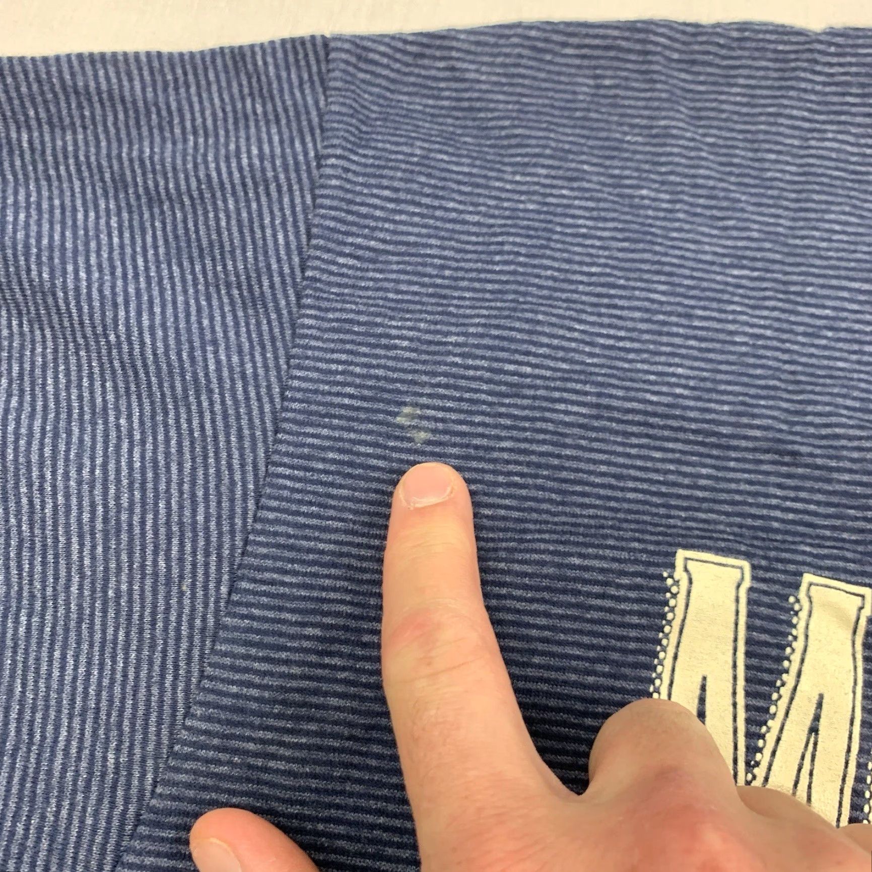 Velva Sheen VINTAGE Velva Sheen Montreat NC Shirt Adult Large Blue Striped Travel 90s Mens T-Shirt Size US L / EU 52-54 / 3 - 6 Thumbnail