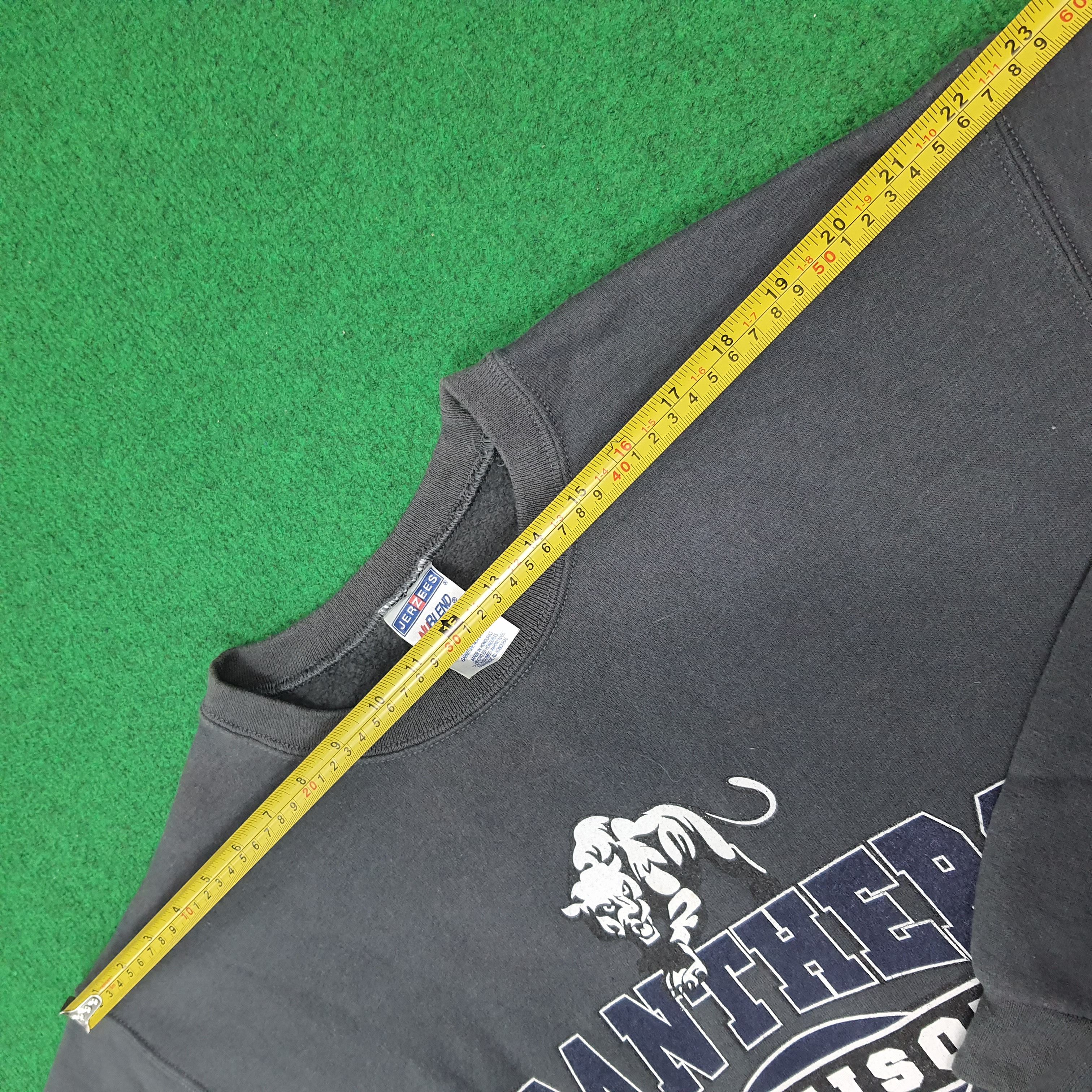Jerzees Vintage Panthers D'Shawn Jamison NFL Sweatshirt C270N3 Size US L / EU 52-54 / 3 - 7 Thumbnail
