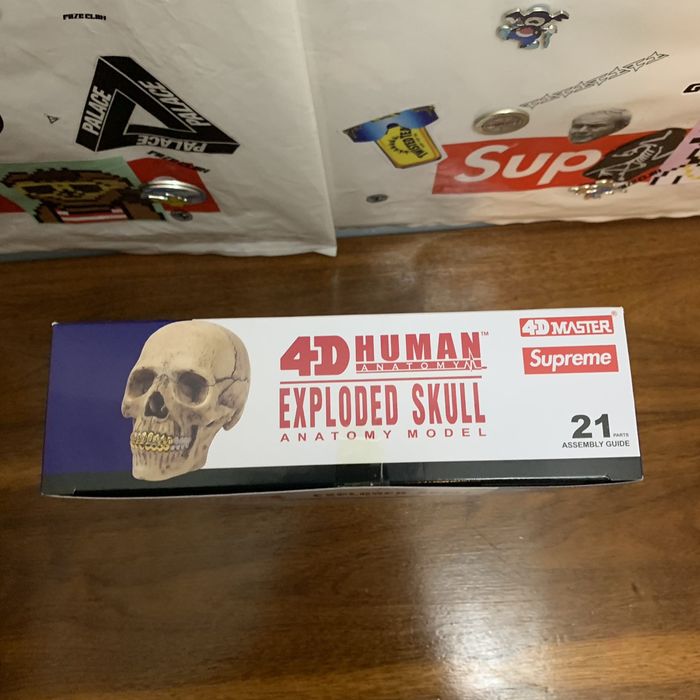 Supreme Supreme 4D Model Human Skull | Grailed