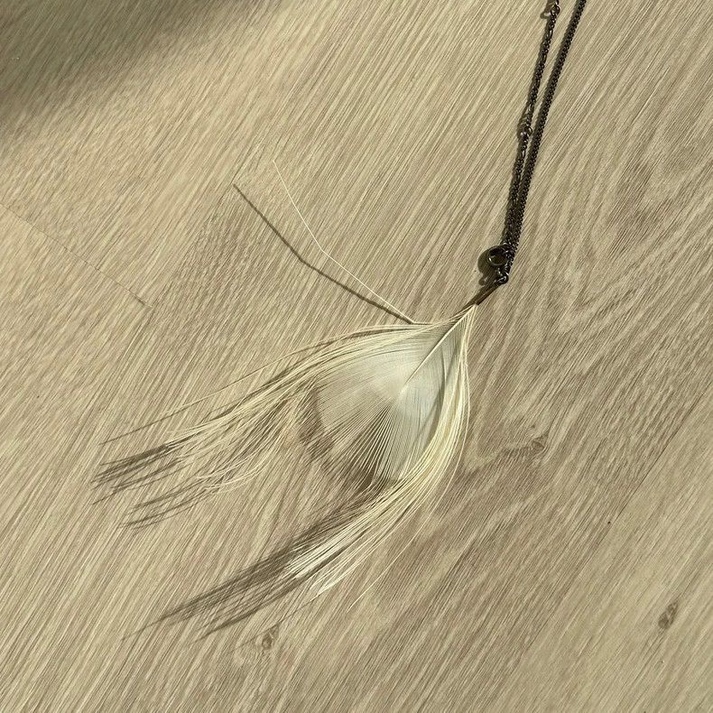 Ann Demeulemeester Ann Demeulemeester ann demeulemeester Feather necklace Whi Size ONE SIZE - 7 Thumbnail