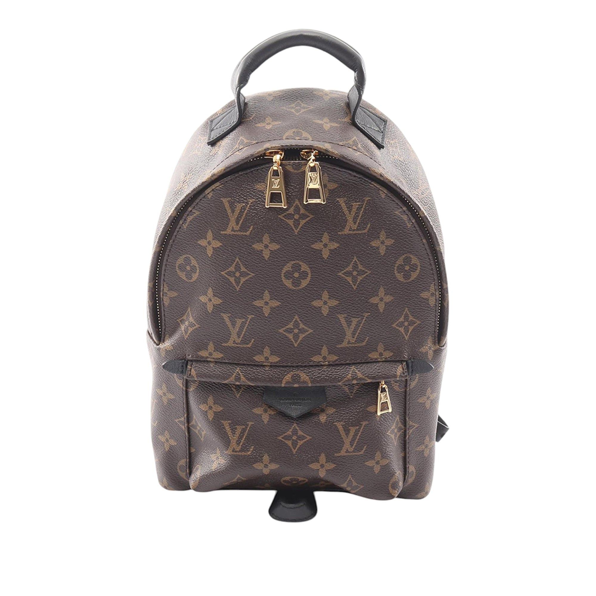 Louis Vuitton Palm Springs PM Size ONE SIZE - 1 Thumbnail