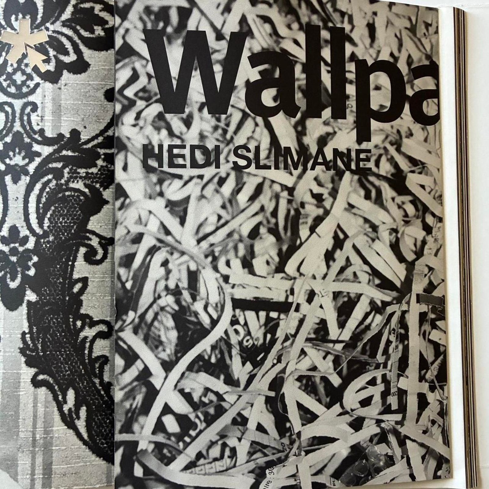 Hedi Slimane × Japanese Brand × Vintage Wallpaper ft DIETER RAMs HEDI SLIMANE JEFF KOONS photo book Size ONE SIZE - 3 Thumbnail
