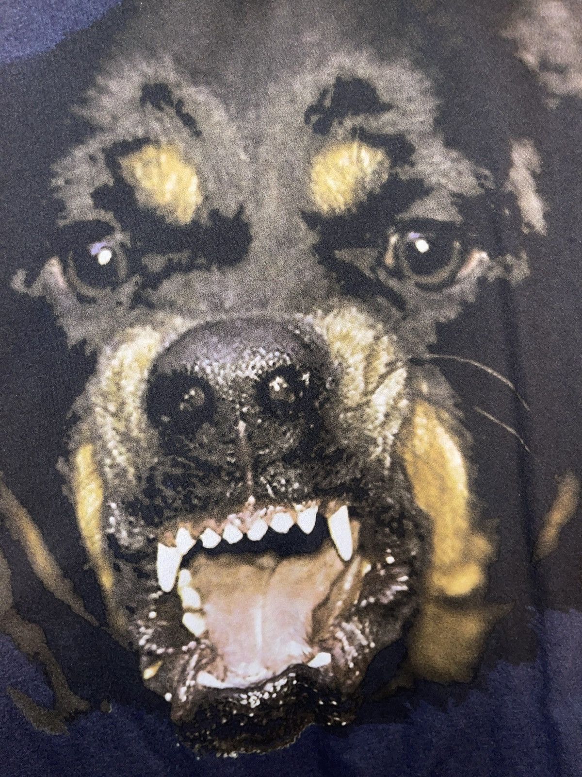 GIVENCHY 犬アートプリント スウェット GIVENCHY 犬アートプリント スウェット Givenchy Embroidered