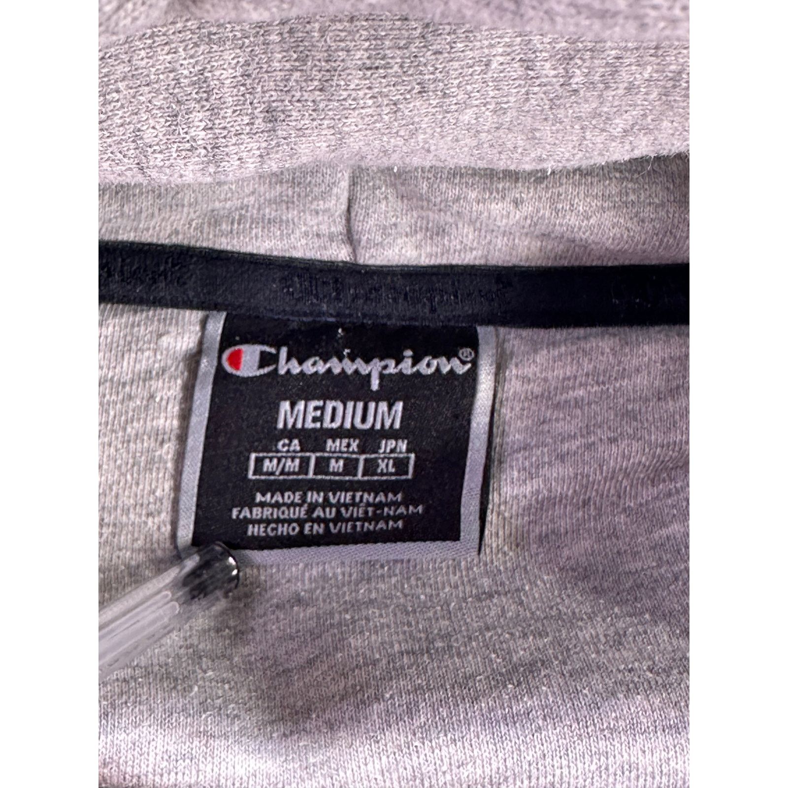 Champion Champion Hoodie It Takes A Little More To Make A Champion Size US M / EU 48-50 / 2 - 7 Thumbnail