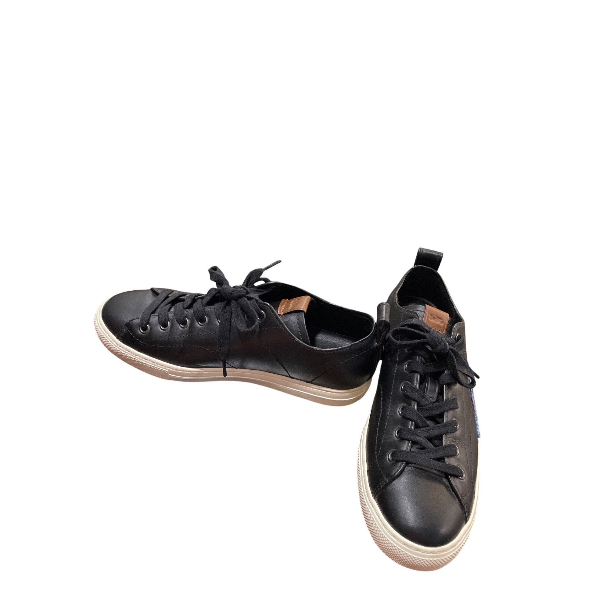 Coach Coach wms black leather low top shark embroided Lightning sn Size US 8 / IT 38 - 2 Thumbnail