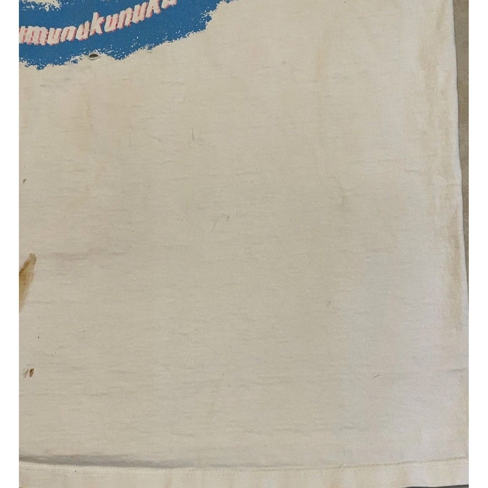 Thrasher VINTAGE 90s Hawaii Humuhumunukunukuapuaʻa Thrashed Faded Distressed White XL T-Shirt Mens Casual Beach Surf Grunge OP Size US XL / EU 56 / 4 - 5 Thumbnail