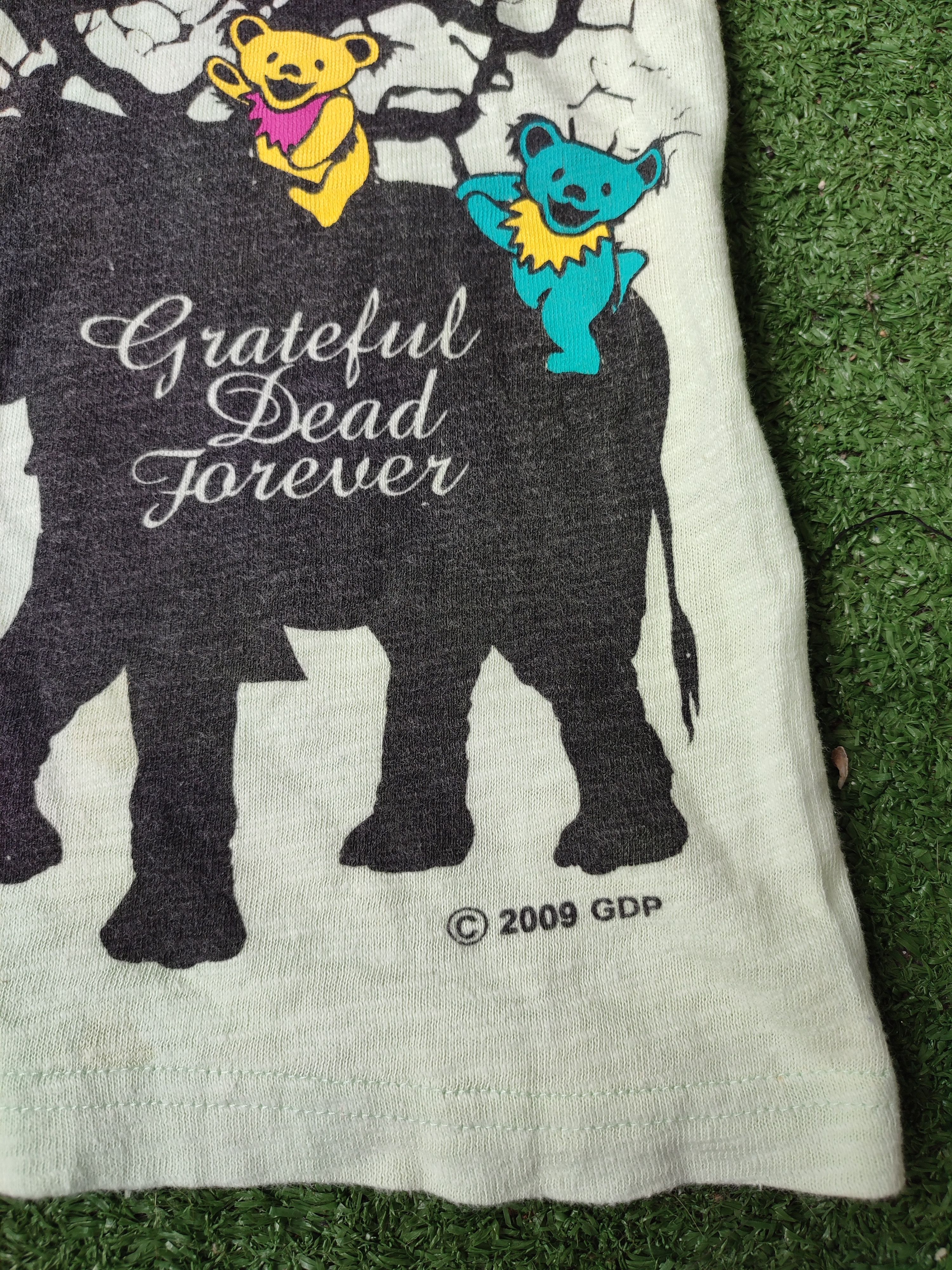 Band Tees Y2k Vintage Grateful Dead Tees 2009 Size US S / EU 44-46 / 1 - 7 Thumbnail