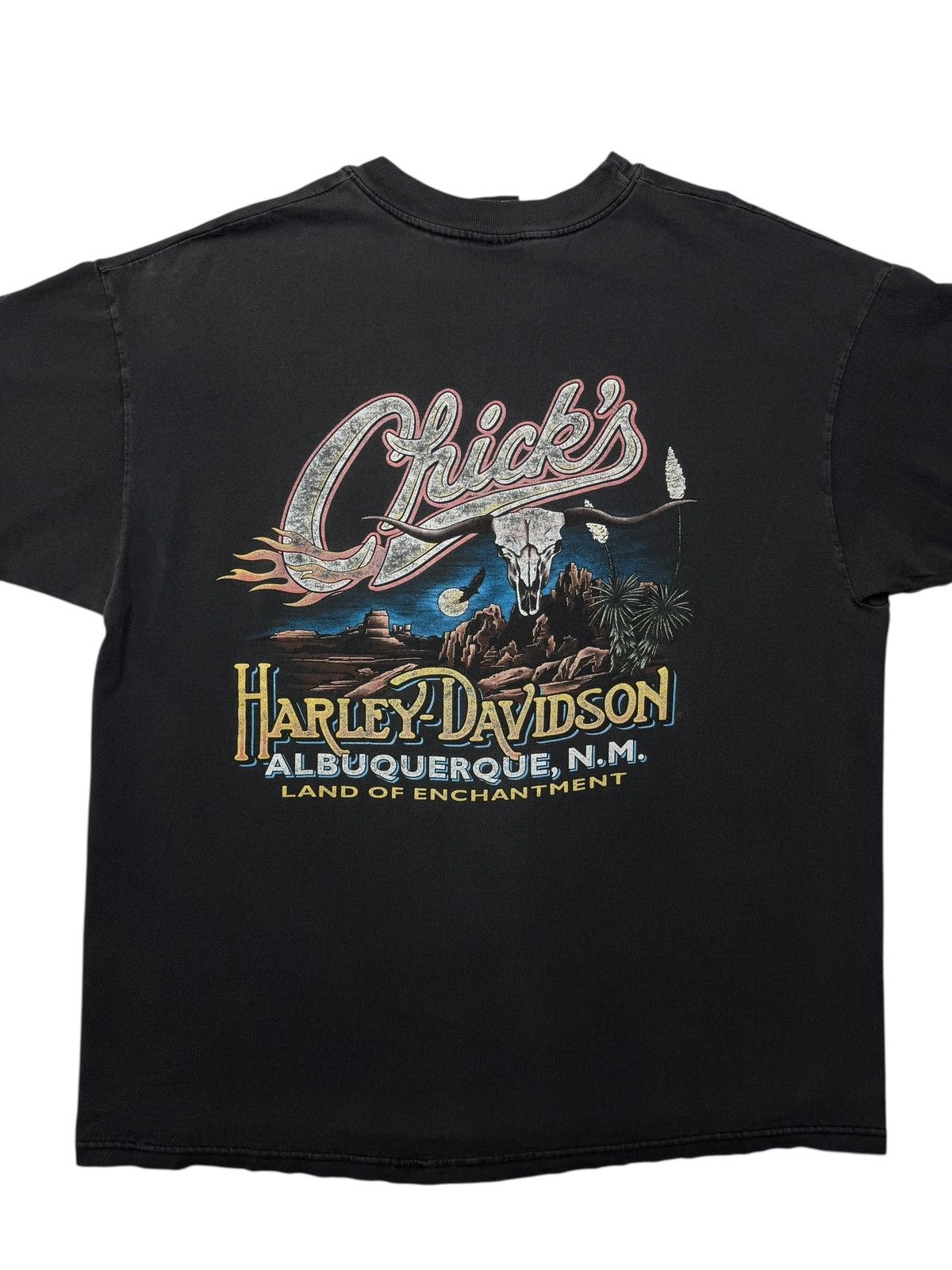 Vintage Vintage 2000 Chicks N.M. Harley Davidson Biker Tee Shirt Size US XL / EU 56 / 4 - 5 Thumbnail