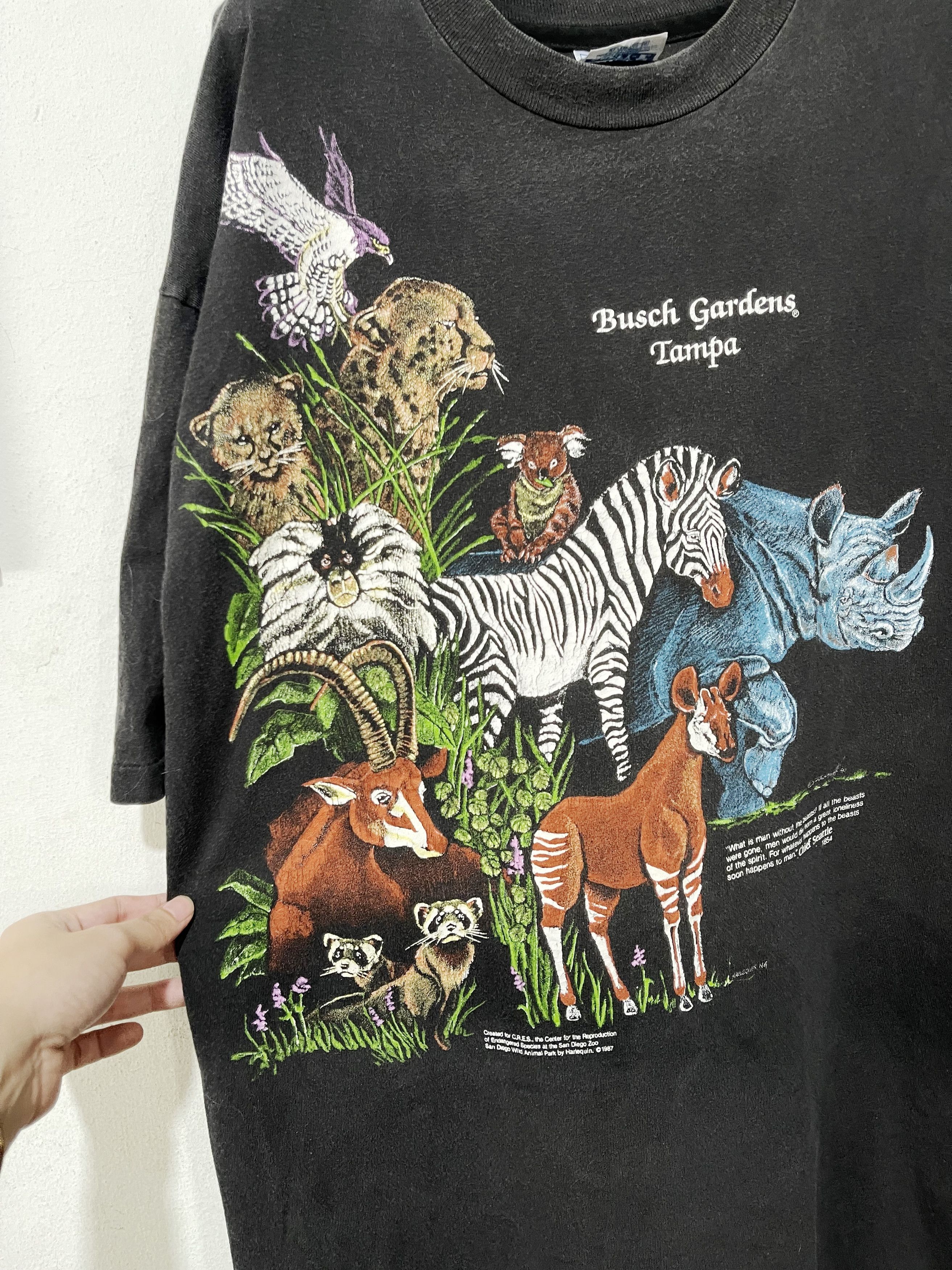 Vintage Vintage 90s San Diego Zoo Shirt Size US XL / EU 56 / 4 - 2 Thumbnail