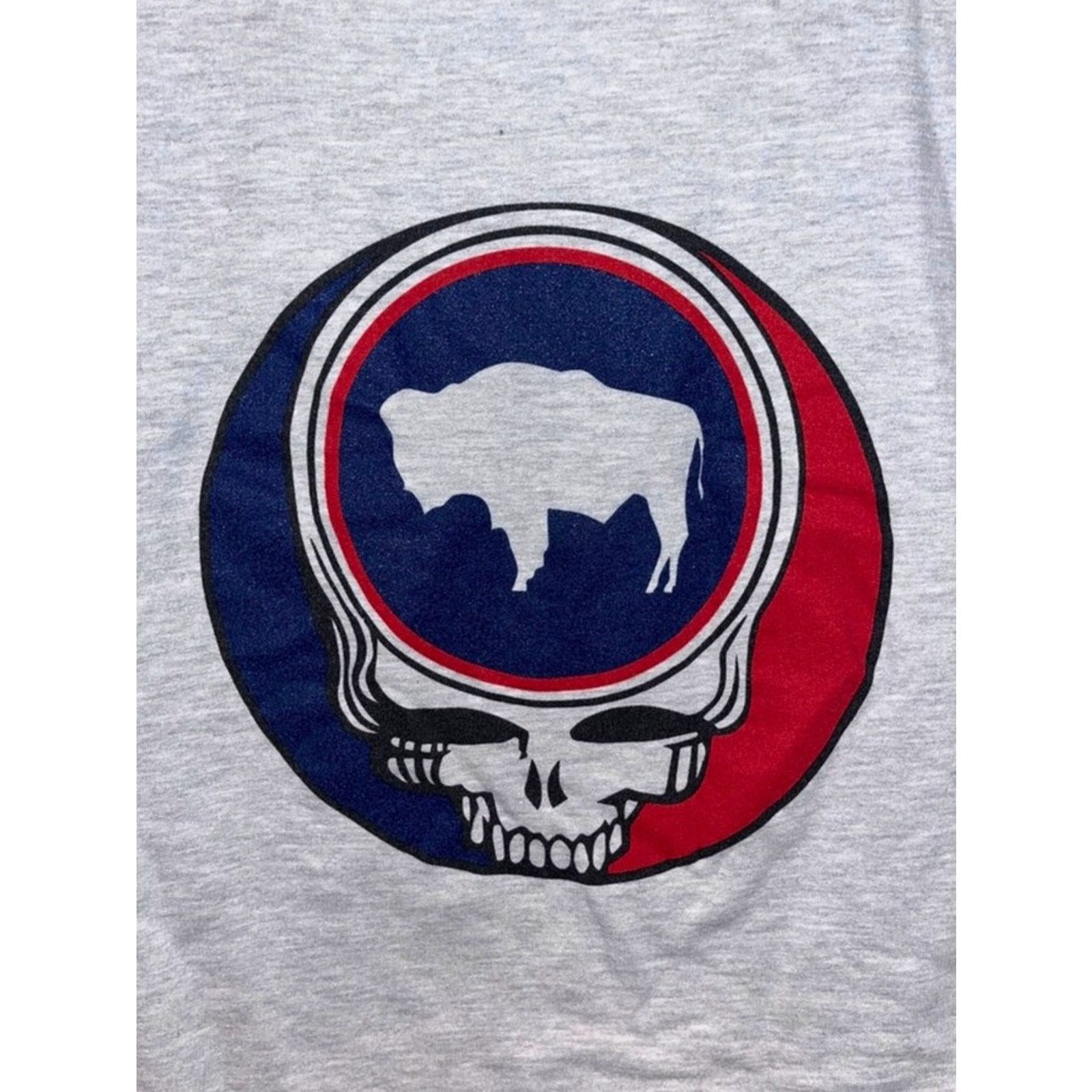 Other Grateful Dead x TGR Wyoming Steal Your State Hoodie Sz Small Size US S / EU 44-46 / 1 - 5 Thumbnail