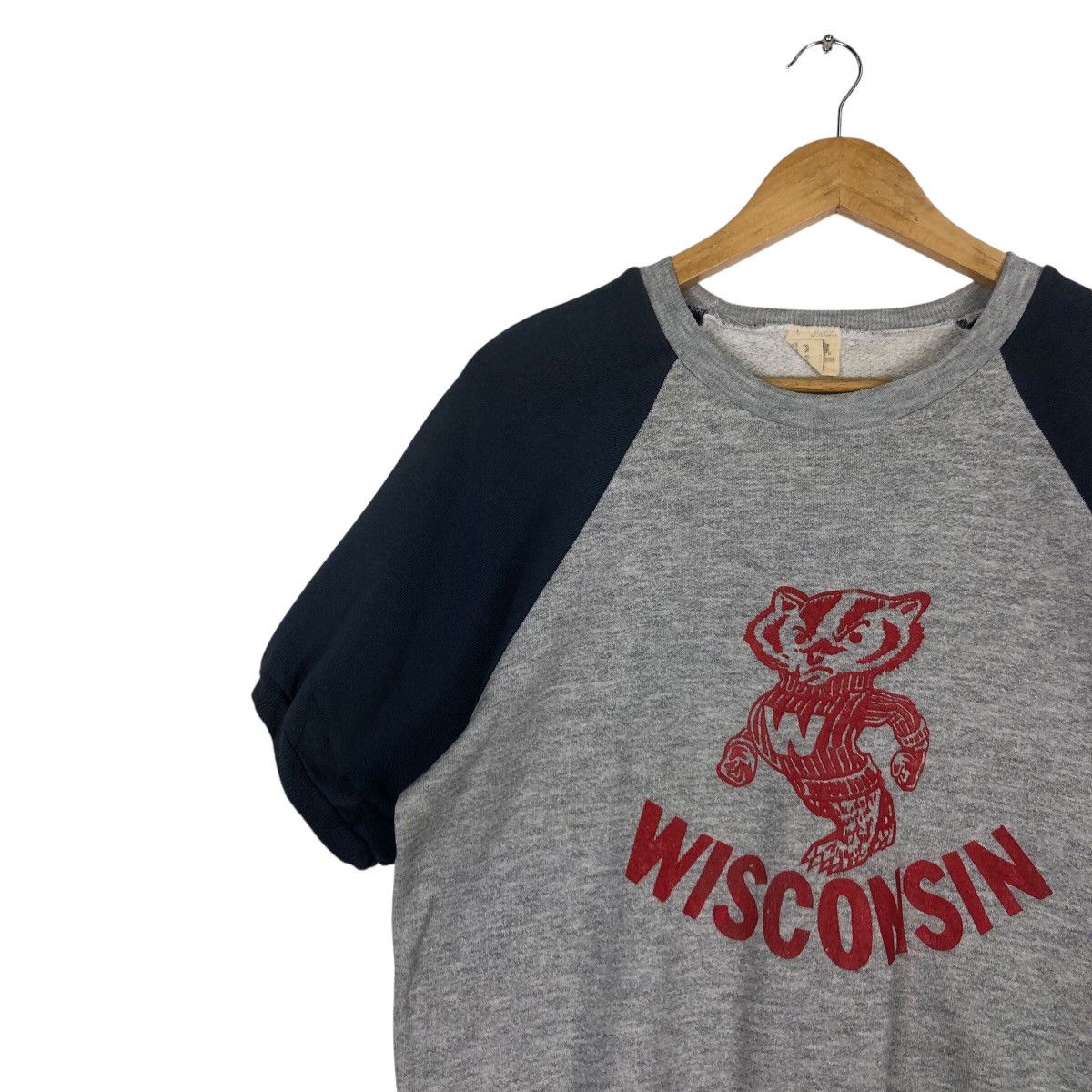 Fruit Of The Loom × Japanese Brand × Vintage Vintage Visconsin Fruits OF Loam Sweatshirt medium Size US M / EU 48-50 / 2 - 6 Thumbnail