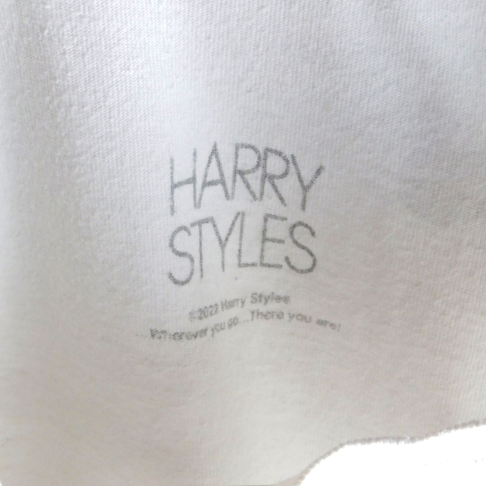 Hanes Harry Styles Harry's House MSG Residency T Shirt XL 2022 Size US XL / EU 56 / 4 - 3 Thumbnail
