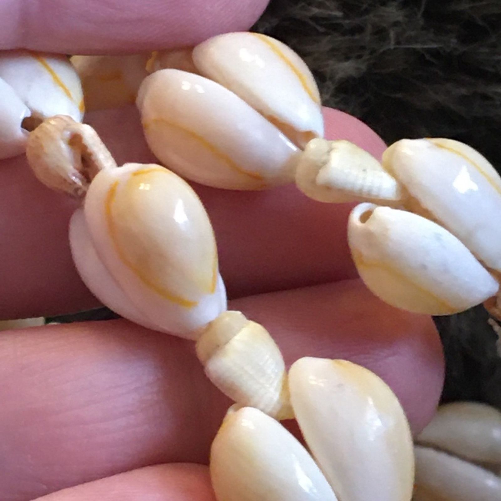 Jewelry Natural shell Hawaiian style necklace bundle Size ONE SIZE - 8 Thumbnail