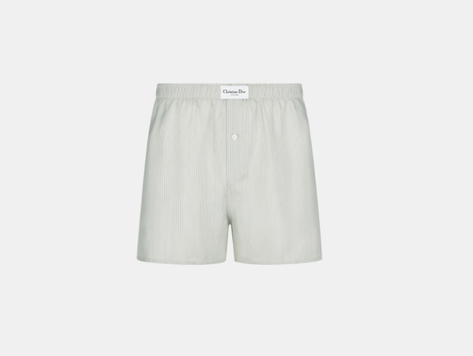 Dior o1w1db10525 243C10 Boxer in Gray Size US 34 / EU 50 - 1 Thumbnail