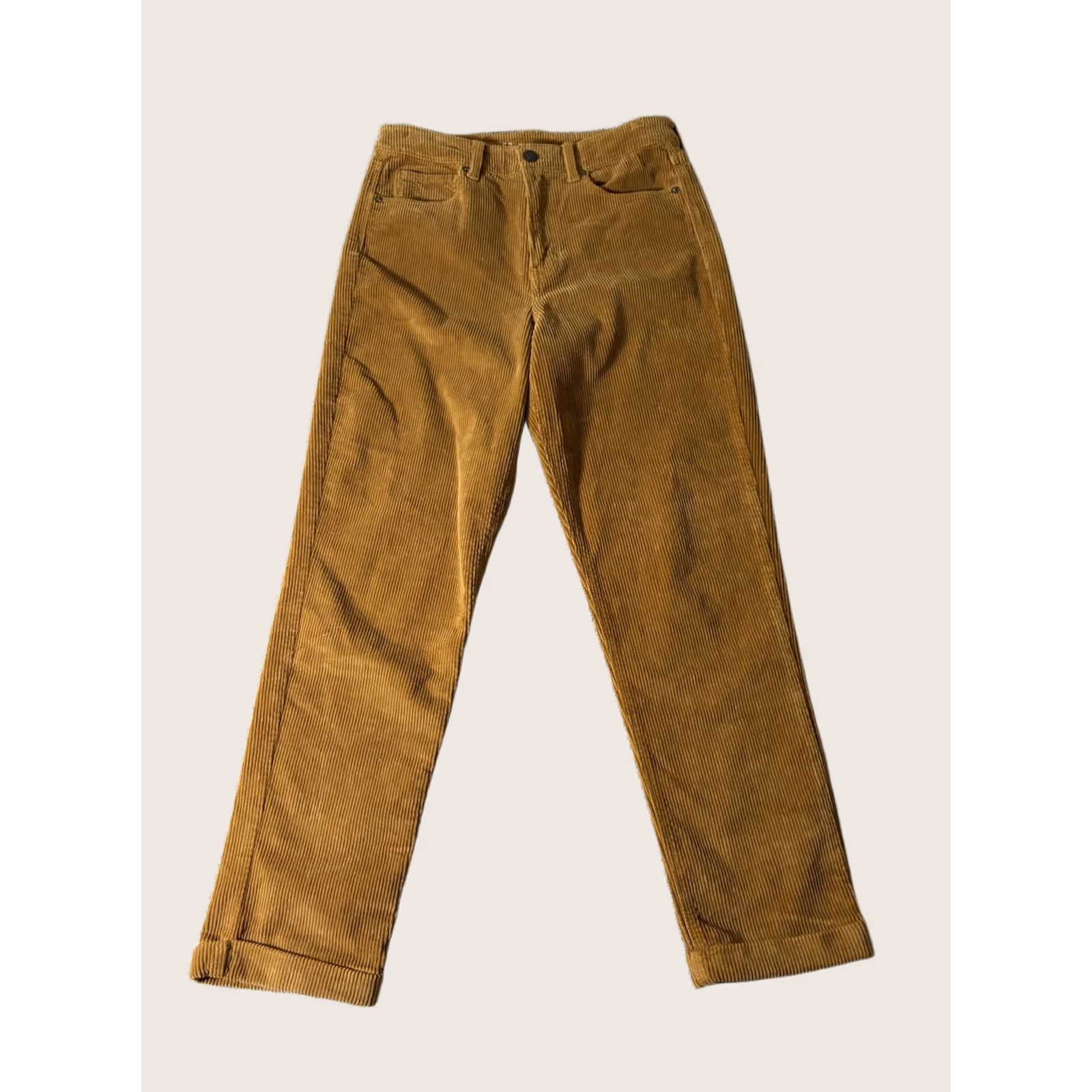American Eagle Outfitters American Eagle Outfitters Womens Pants 6 Brown Corduroy Chino Super Stretch Size 28" / US 6 / IT 42 - 1 Thumbnail