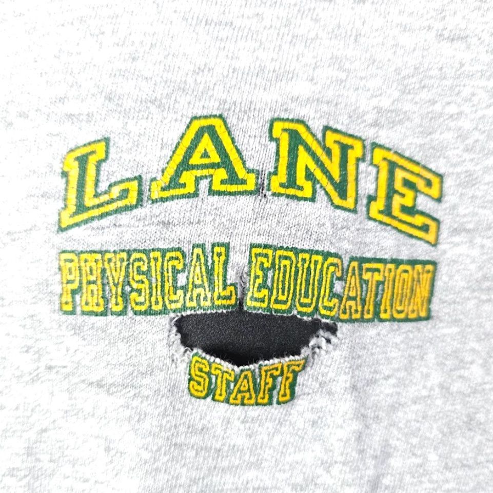 Champion VINTAGE Champion Lane Physical Education T Shirt Mens M Gray 80s USA Size US M / EU 48-50 / 2 - 3 Thumbnail