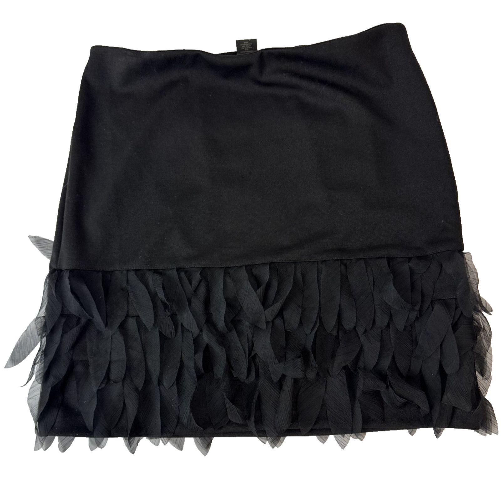 Ann Taylor Whimsigoth Ann Taylor Skirt Sz 6 Ruffle Fringe Sheer Black Size 28" / US 6 / IT 42 - 1 Thumbnail