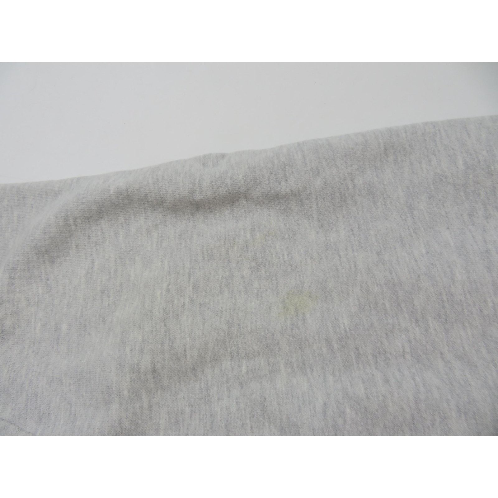 Champion Champion Reverse Weave Hoodie Sweatshirt Logo Gray Sz L Y2K Size US L / EU 52-54 / 3 - 6 Thumbnail