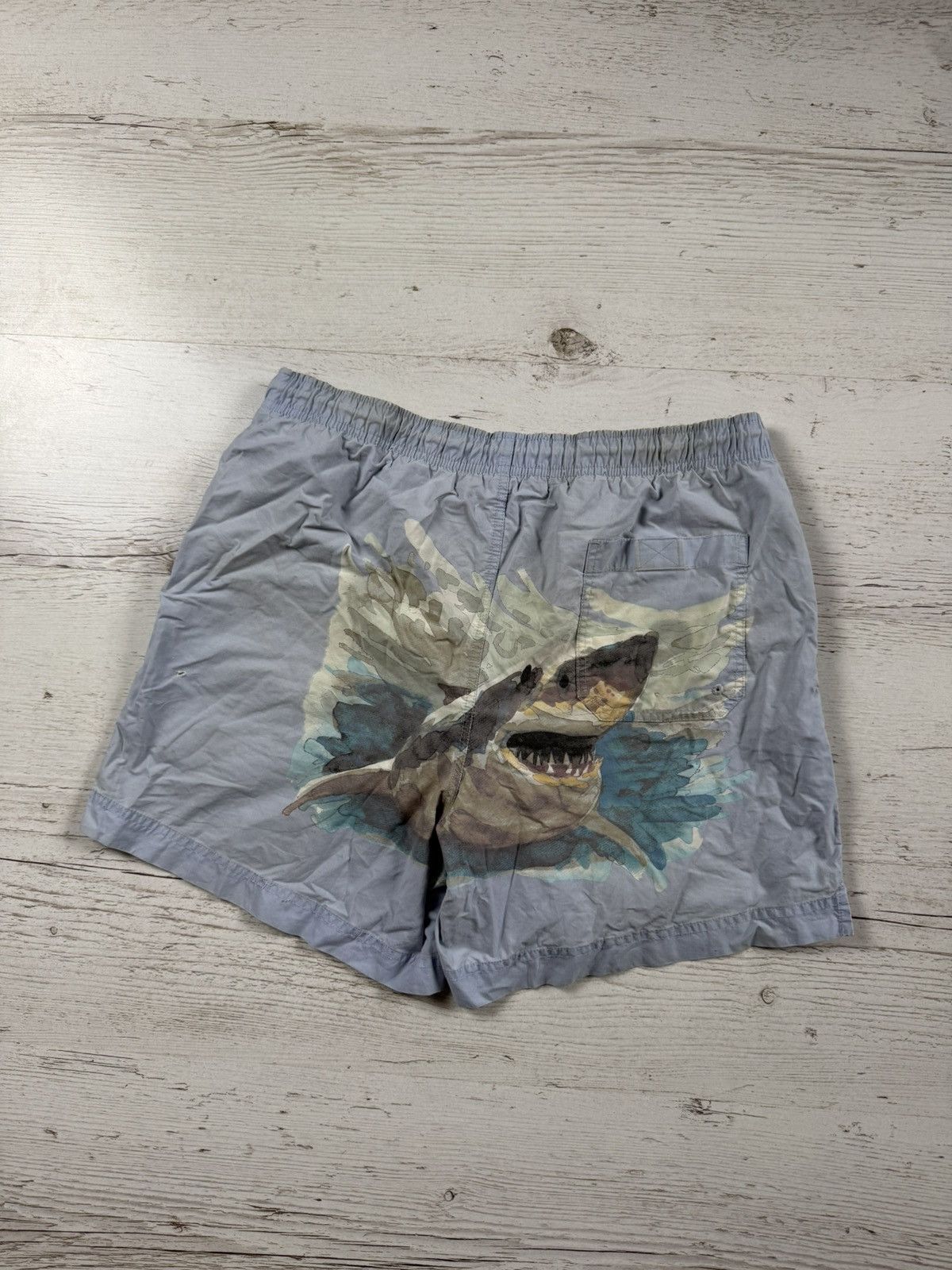 Polo Ralph Lauren Polo ralph lauren sport shorts Size US 30 / EU 46 - 7 Thumbnail