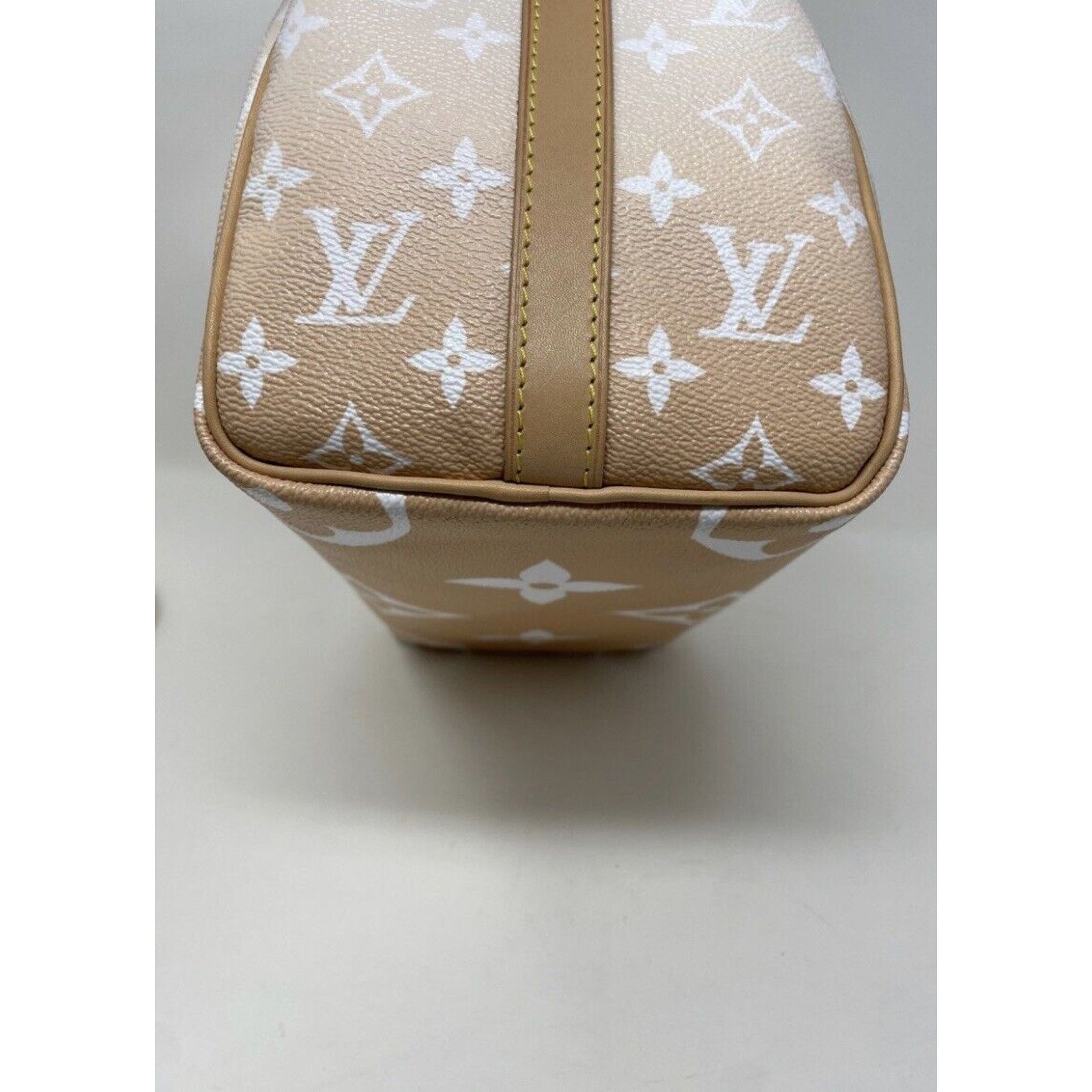 Louis Vuitton Louis Vuitton Speedy 25 Bandouliere By The Pool Brume Mist Size ONE SIZE - 8 Thumbnail