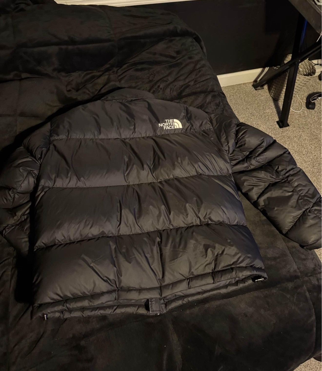 The North Face North Face Puffer Size US M / EU 48-50 / 2 - 2 Thumbnail