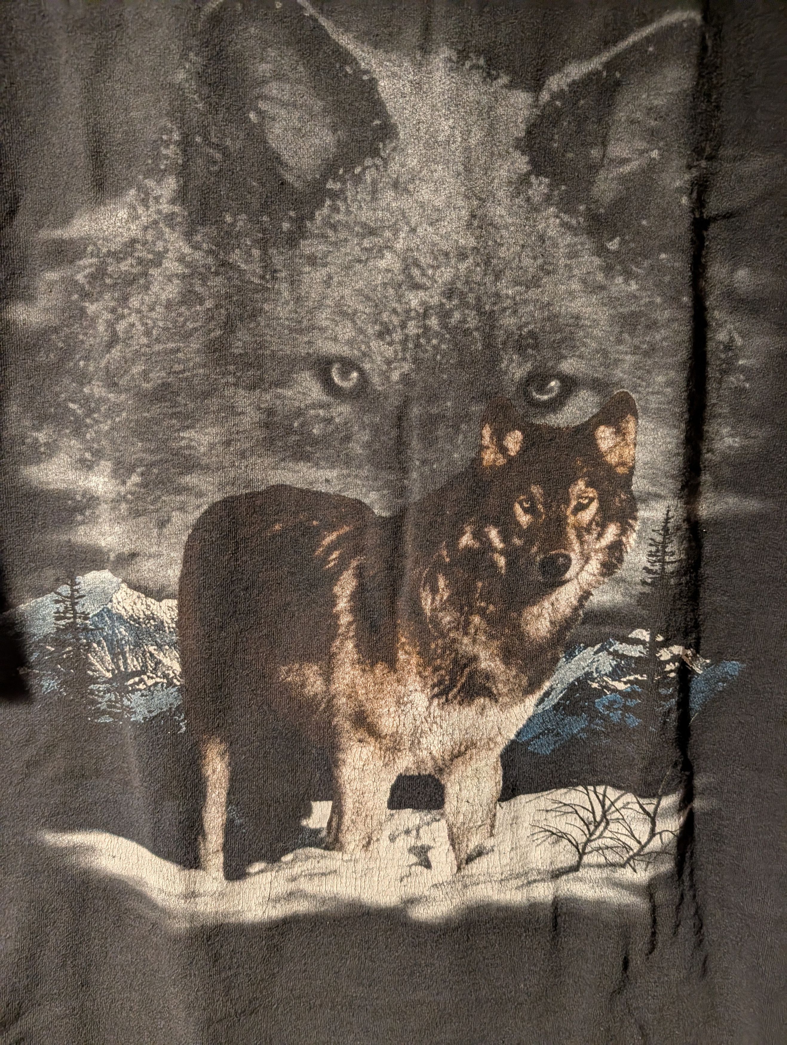 Arts & Science Vintage 90s Wolf Nature Graphic T-Shirt TNT Double Sided Size US L / EU 52-54 / 3 - 2 Thumbnail