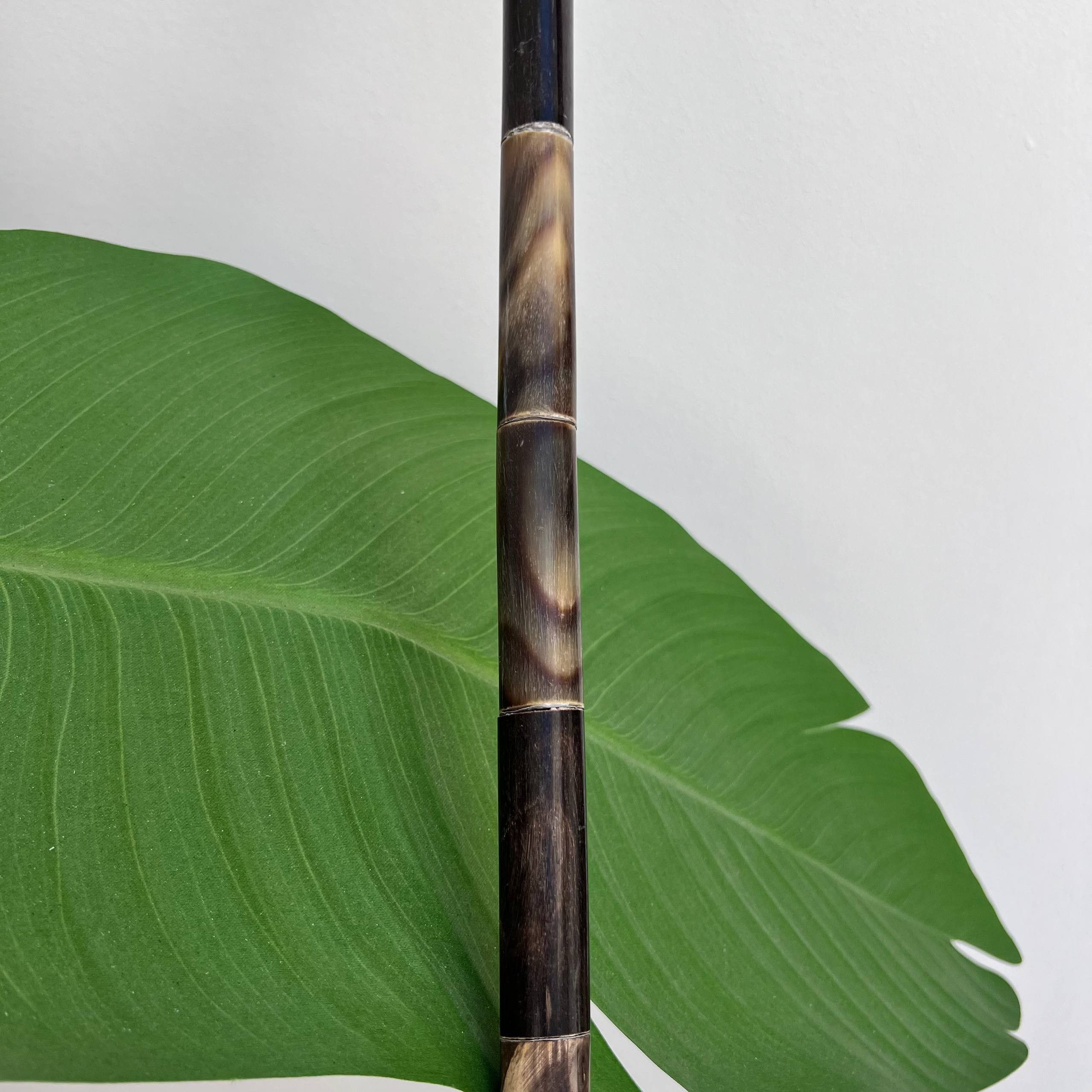 Vintage Vintage Handcrafted Walking Stick 83cm Bird Handle Horn Cane Size ONE SIZE - 8 Thumbnail