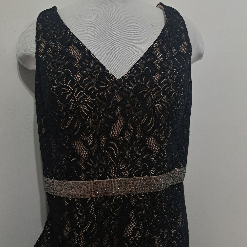 Alex Evenings Alex Evenings Long Lace Elegant Romantic Goth Maxi Gown Size Size XL / US 12-14 / IT 48-50 - 13 Thumbnail
