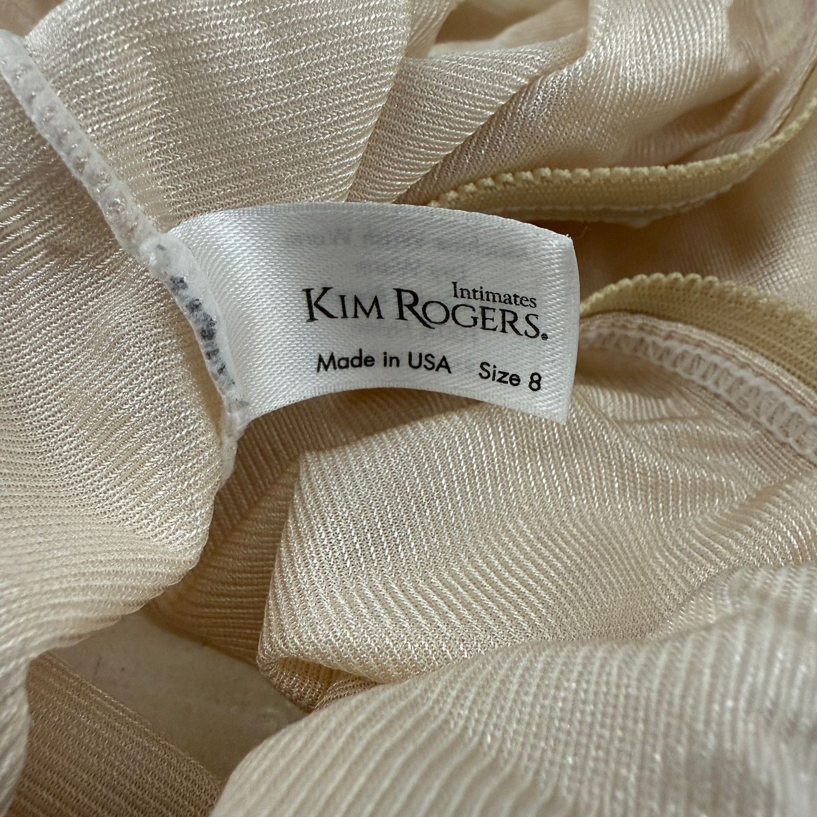 Vintage Vintage Kim Rogers Shiny Smooth Nylon Beige Panty Panties Size ONE SIZE - 2 Thumbnail