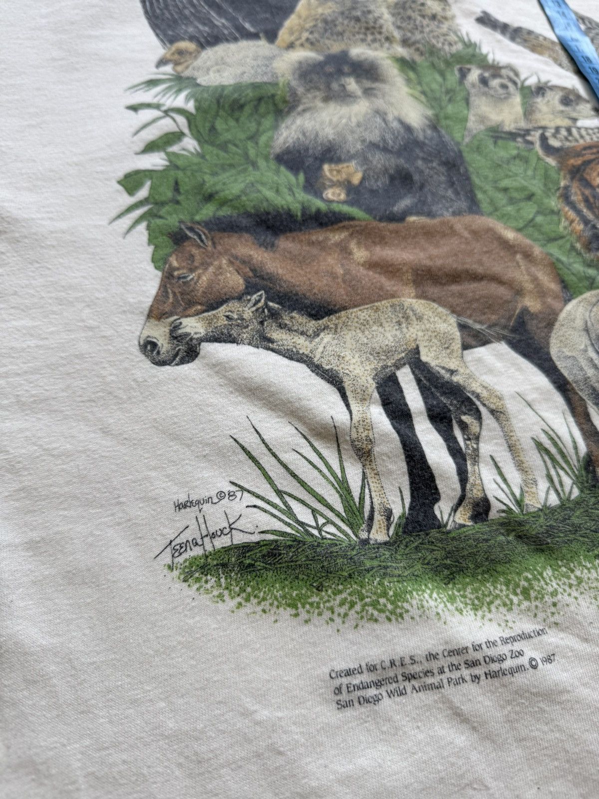 Vintage Oneita San Diego Power-T tee Zoo big logo Size US XL / EU 56 / 4 - 12 Thumbnail