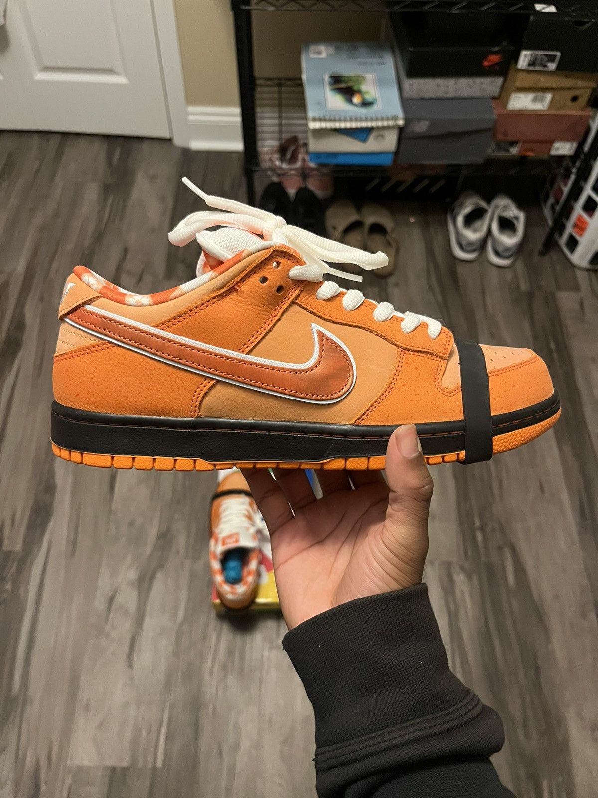 CNCPTS × Nike Nike Lobster SB Size US 9 / EU 42 - 5 Thumbnail