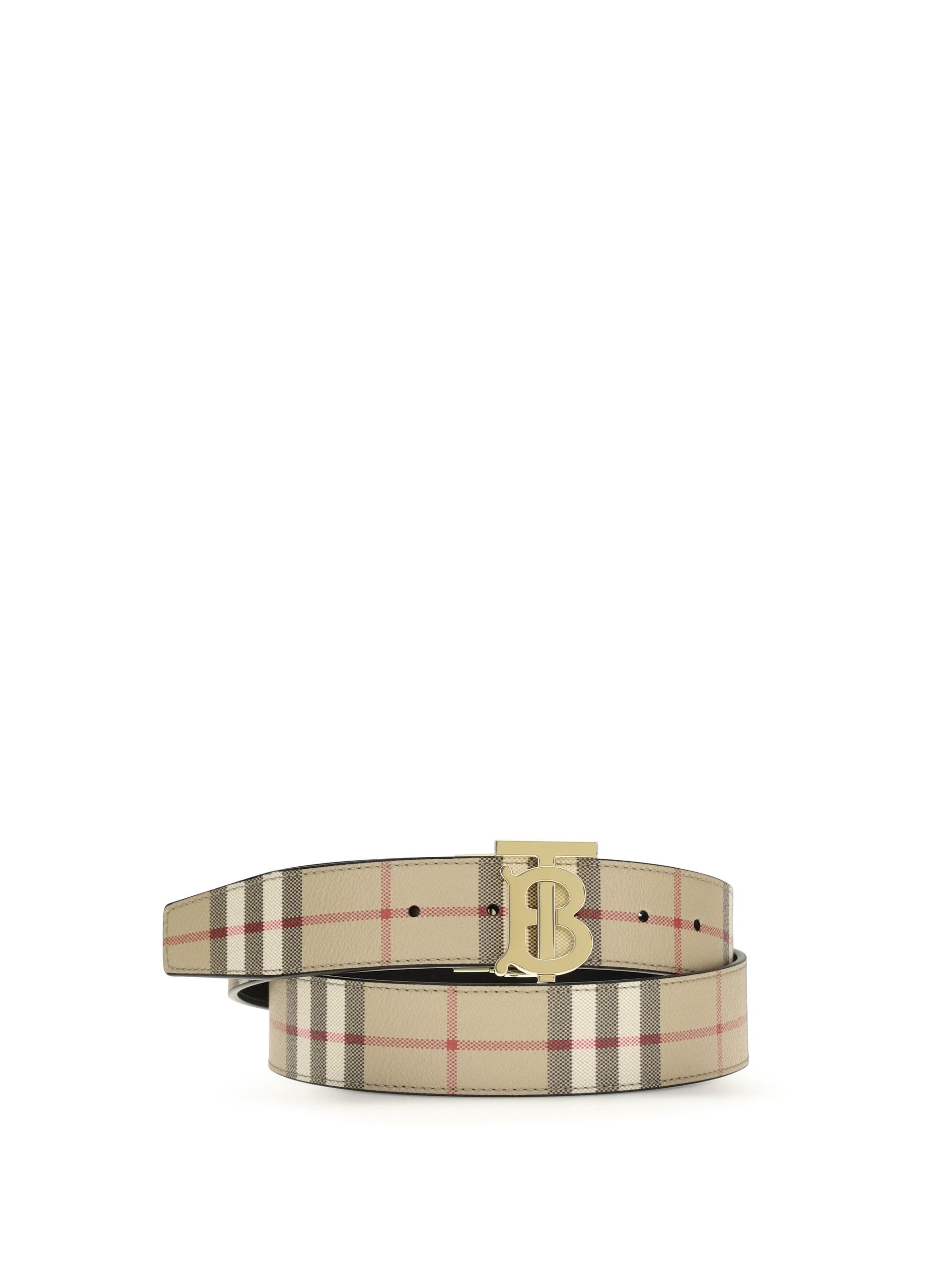 Reversible TB Check Belt