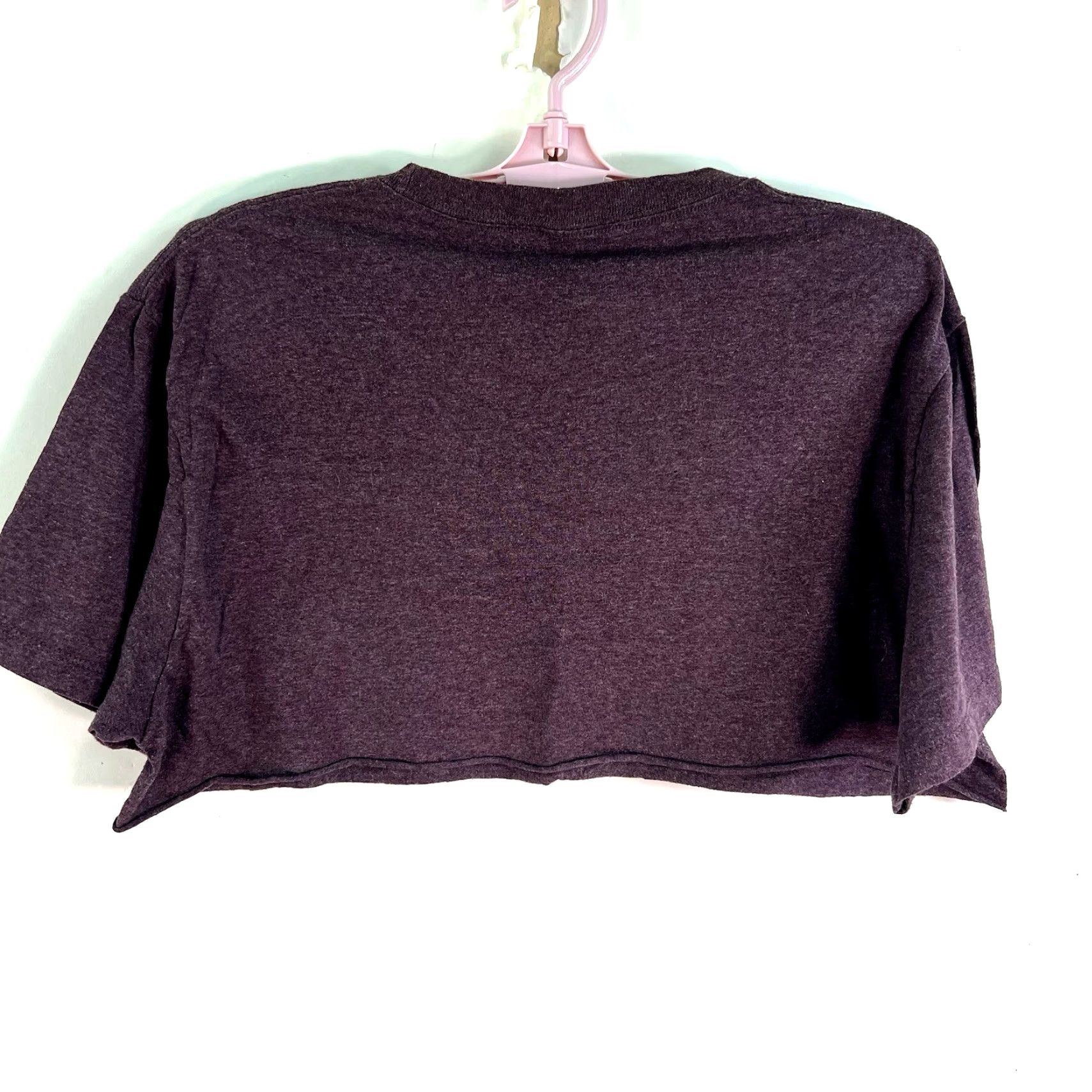 Cody James Cody James Rodeo Of The Defeated Cropped T-Shirt Womens Size L Mauve Size L / US 10 / IT 46 - 4 Thumbnail