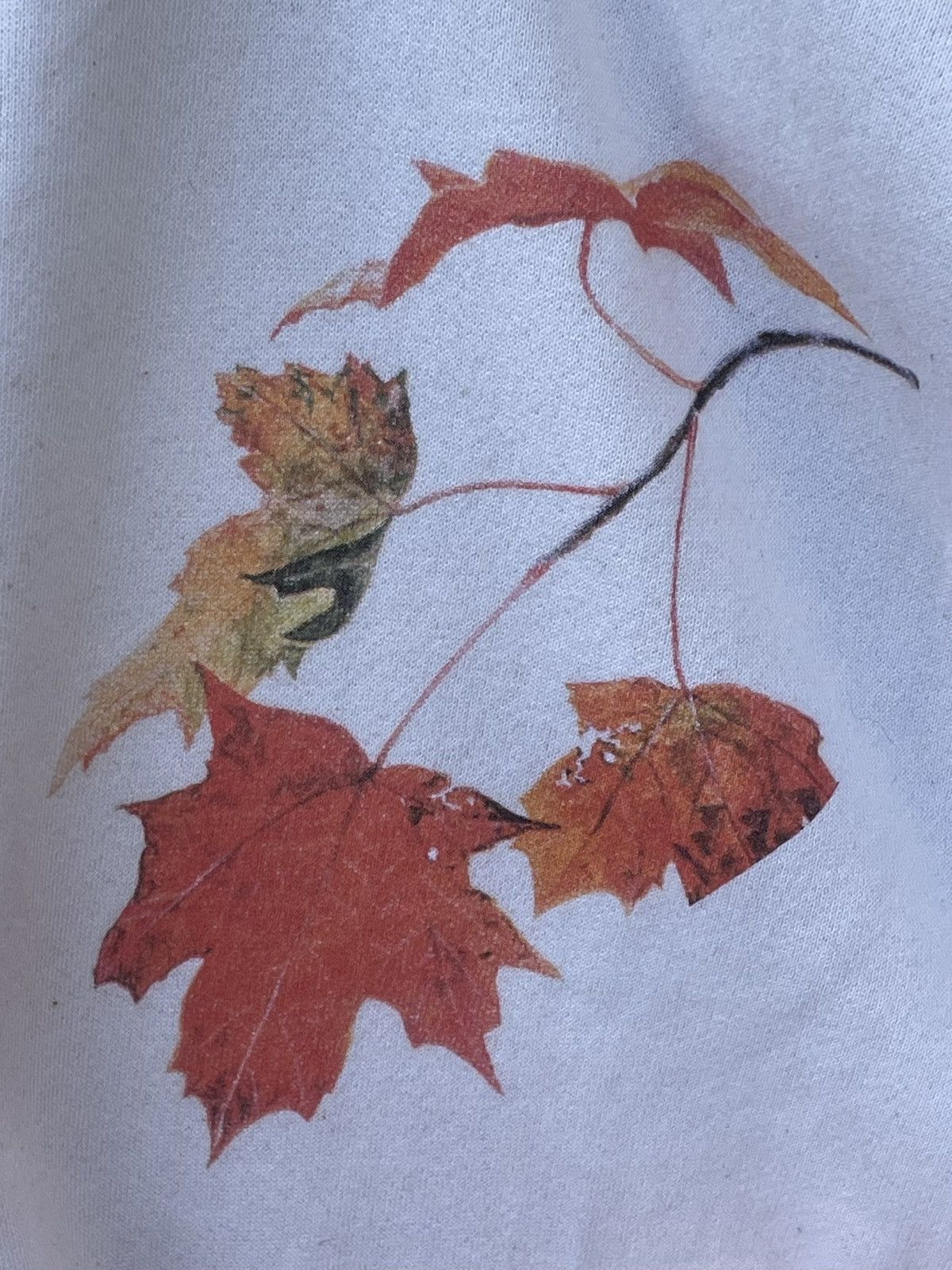 Jerzees Vintage 90s Jerzees orange bellied oriole Nature Cardigan Size ONE SIZE - 5 Thumbnail