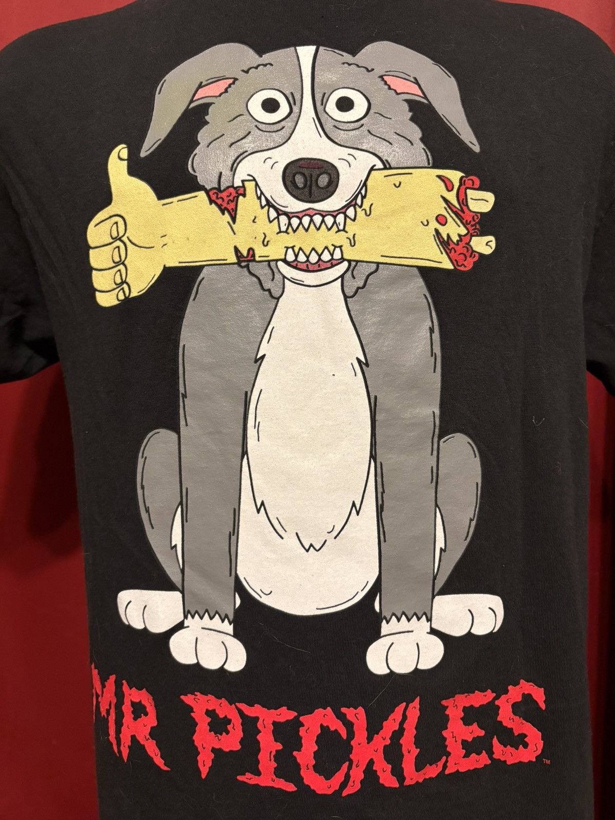 Band Tees Mr. Pickles Tshirt Y2K AdultSwim Cartoon Metal Music Grail Size US L / EU 52-54 / 3 - 2 Thumbnail