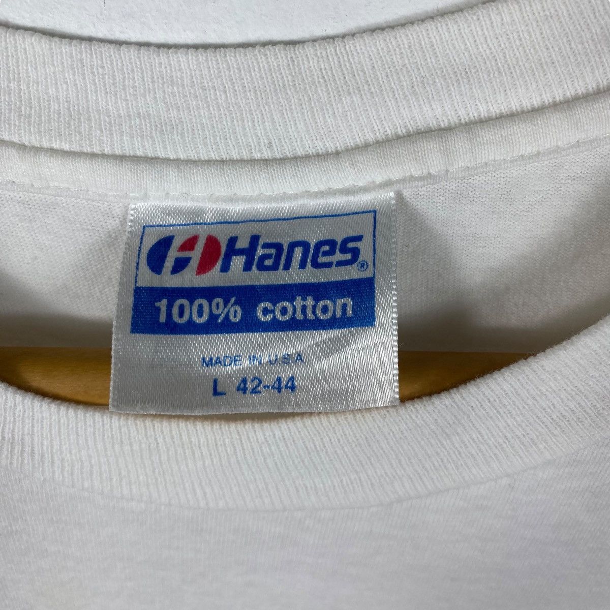Hanes Vintage 90's Toshinobu Kubota & Mother Earth Bonga Wanga Size US L / EU 52-54 / 3 - 6 Thumbnail