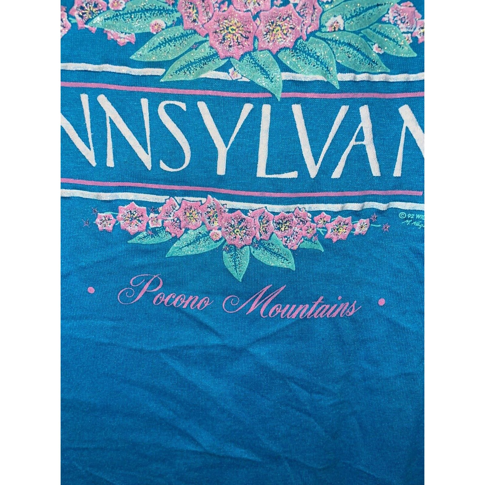 Jerzees Vintage Pocono Mountains Shirt Mountain Laurel Pennsylvania Size US L / EU 52-54 / 3 - 6 Thumbnail