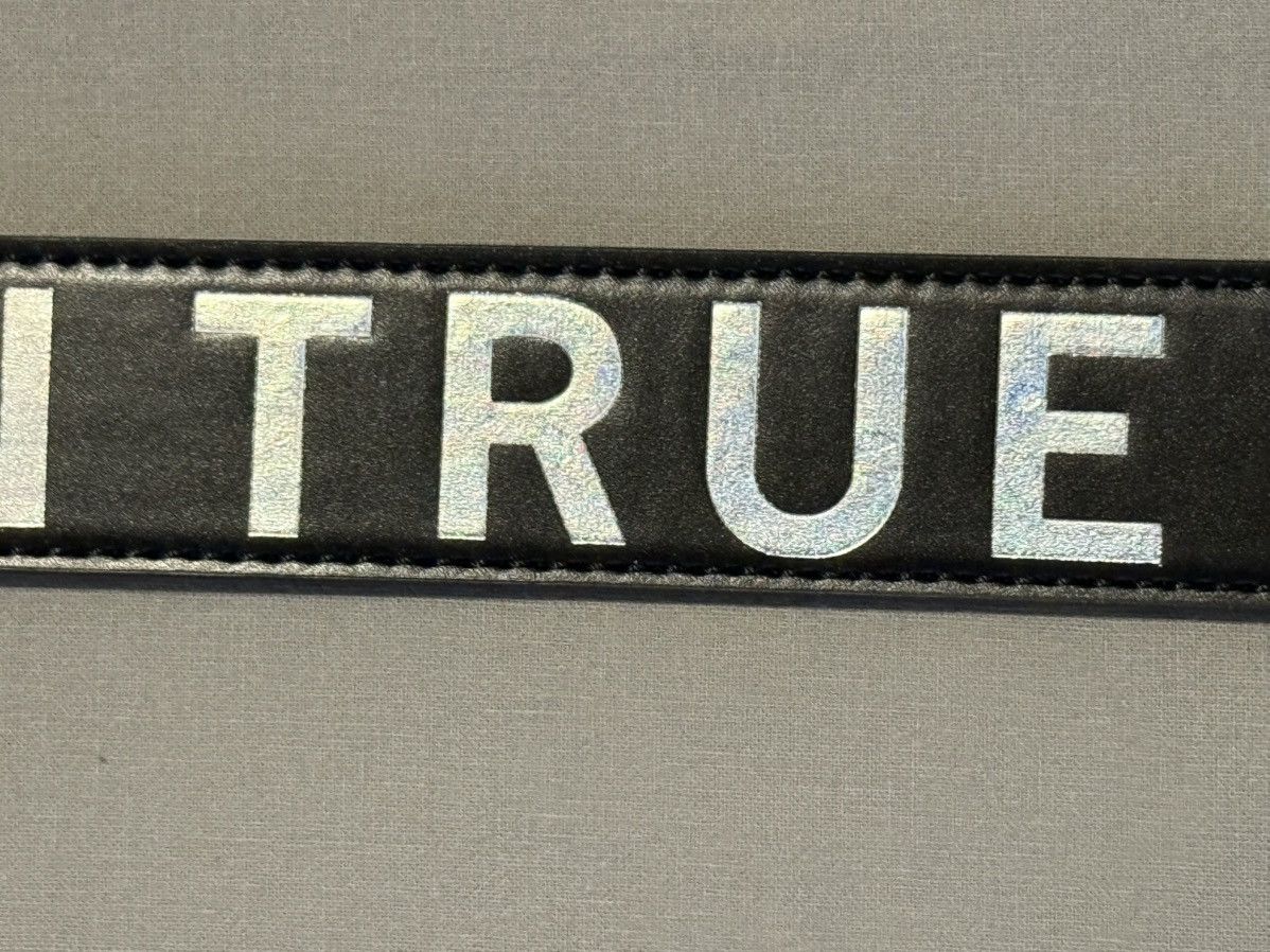 True Religion True Religion Brand Jeans AOP Silver Horseshoe Leather Belt Size 42 - 5 Thumbnail