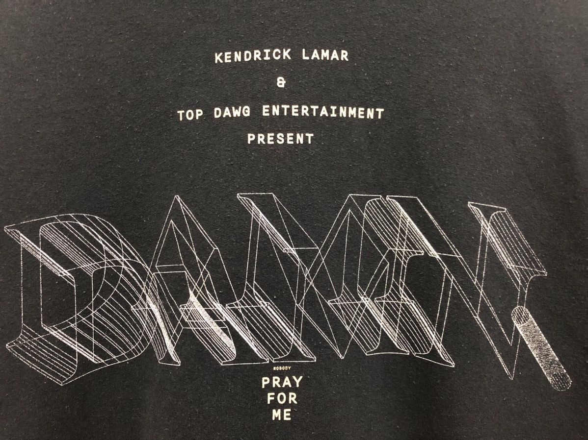 Gildan × Kendrick Lamar × Rap Tees DOPE 🔥 KENDRICK LAMAR DAMN. TDE ALBUM TOUR PROMO HOODIE Size US M / EU 48-50 / 2 - 5 Thumbnail