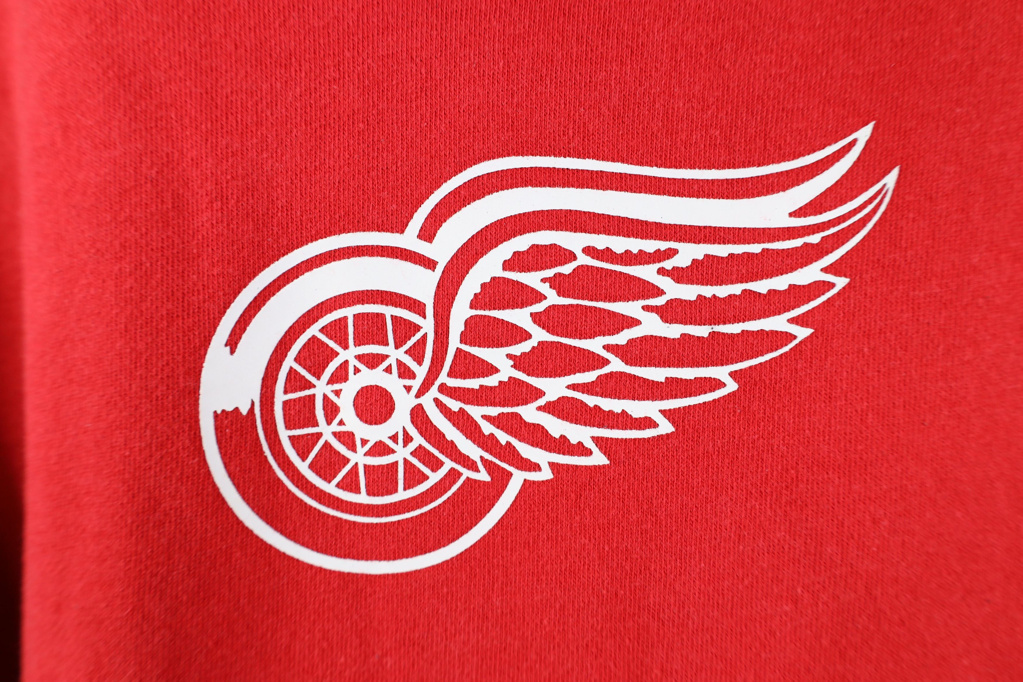 Reebok Vintage Reebok Spell Out Detroit Red Wings Hockey Hoodie Red Size US M / EU 48-50 / 2 - 6 Thumbnail
