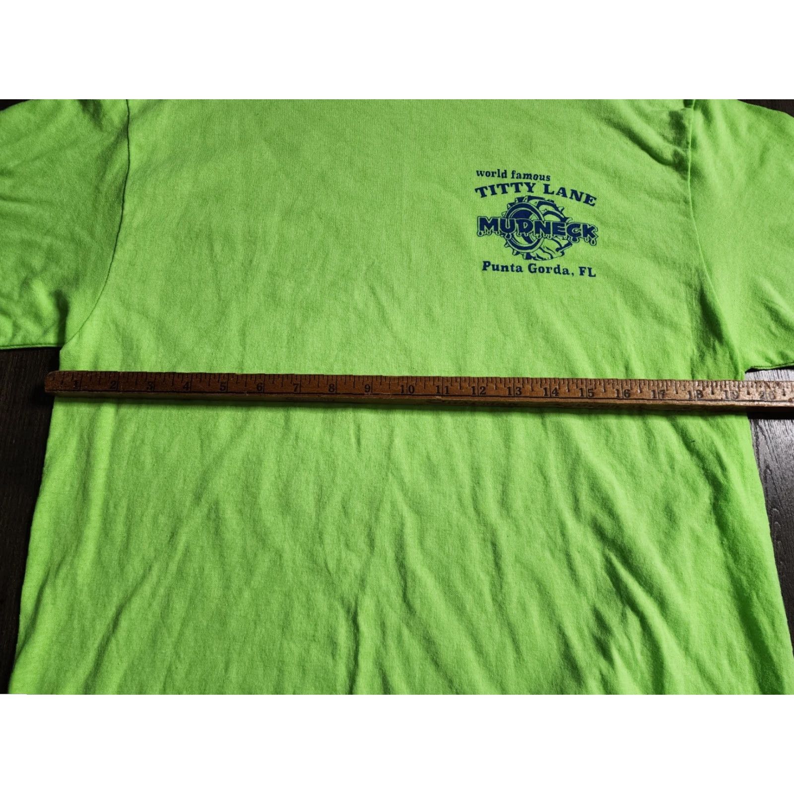 Port & Company World Famous Mudneck Punta Gorda FL T Shirt Graphic Green Mens L Short Sleeve Crew Neck Port & Company Size US L / EU 52-54 / 3 - 2 Thumbnail