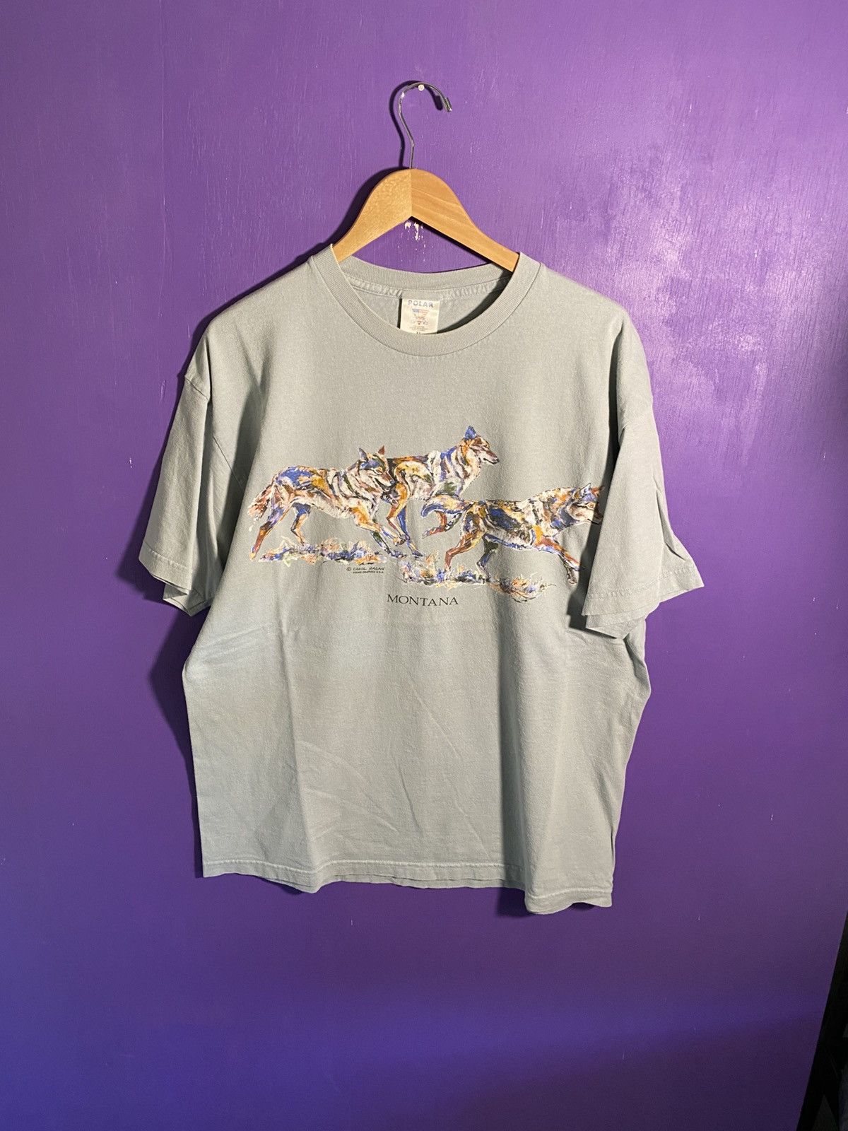 Other Vintage 90s Montana wolves faded t-shirt Size US XL / EU 56 / 4 - 1 Thumbnail