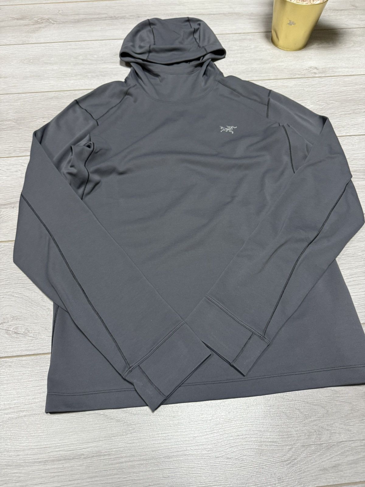 Arc'teryx Arcteryx motus ar hoodie bird ninja Size US M / EU 48-50 / 2 - 5 Thumbnail